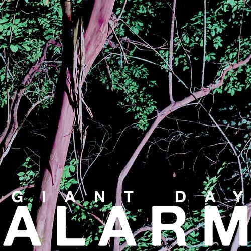 Alarm - Vinyl LP