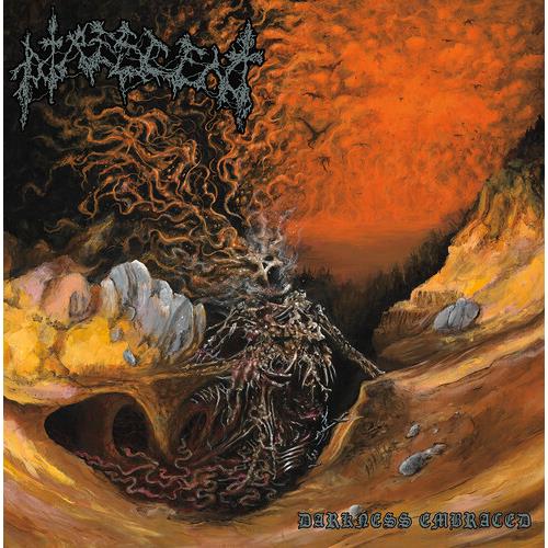 Darkness Embraced - Vinyl LP