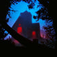 The Host - Vinyl LP