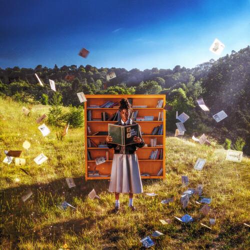How To Be Human - Vinyl LP