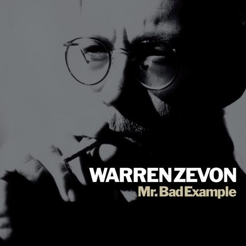 Mr. Bad Example - Vinyl LP