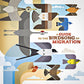 Vinyl LP cover featuring stylized illustrations of various birds in flight against a blue and beige 
