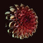 Unfolding - Vinyl LP