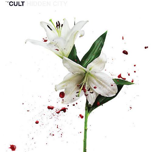 Hidden City - Vinyl LP