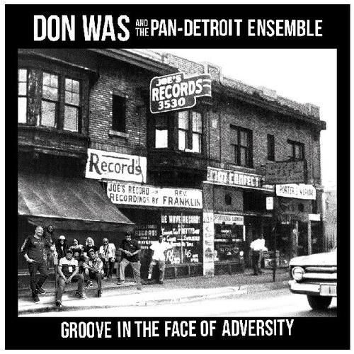 Groove In The Face Of Adversity - Vinyl LP