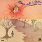 Sou Filho Desse Chao - Vinyl LP