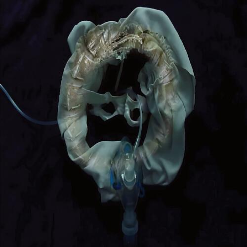 Initiatrix - Vinyl LP