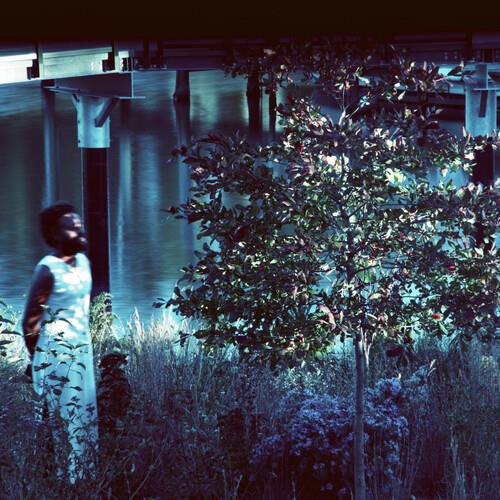 Vesper Sparrow - Vinyl LP