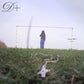 Dreamer+ - Limited Edition Vinyl LP