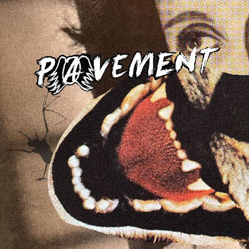 Hecklers Choice: Big Gums And Heavy Lifters - A Pavement Collection - Vinyl LP