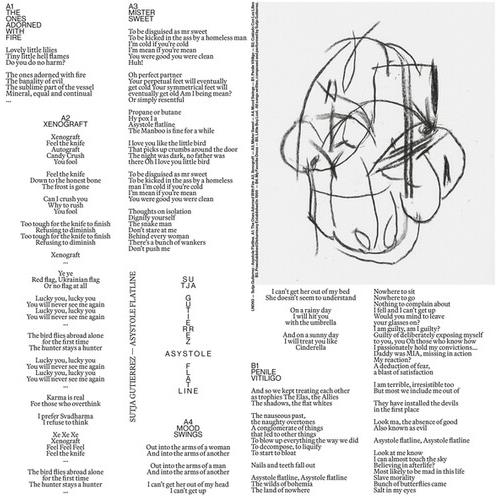 Asystole Flatline - Vinyl LP