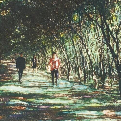 Taiyou No Sekai (The True Sun) - Vinyl LP