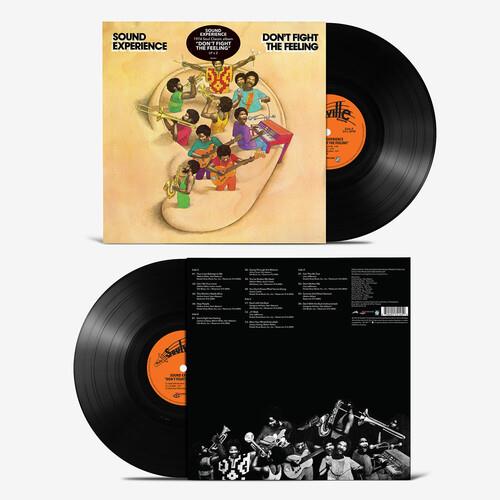 Don't Fight the Feeling - Vinyl LP