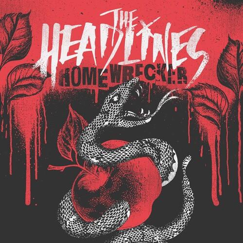 Homewrecker - Black/White Marble Swirl - Vinyl LP 180 Gram (Black/White)