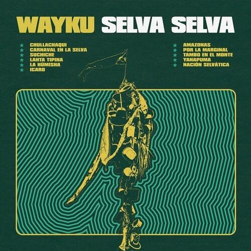 Dark green vinyl record sleeve featuring a yellow illustration of a figure with a flag against a wav