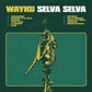 Dark green vinyl record sleeve featuring a yellow illustration of a figure with a flag against a wav