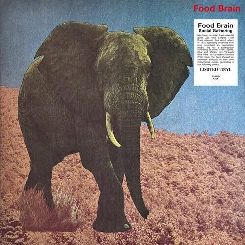 Social Gathering - Vinyl LP