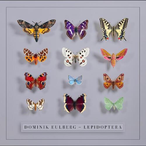 Lepidoptera - Vinyl LP