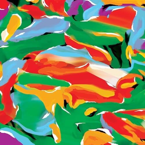 Birds Of Paradise - Vinyl LP