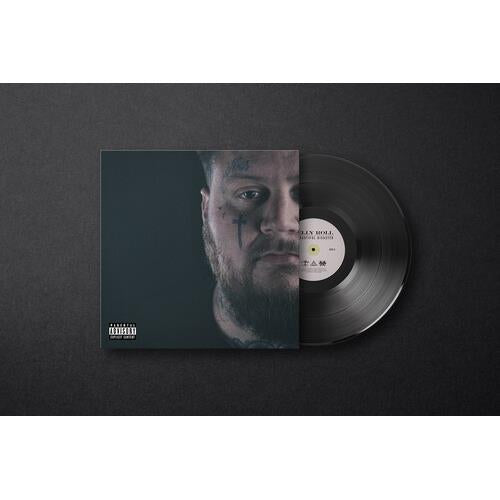 A Beautiful Disaster - Vinyl LP