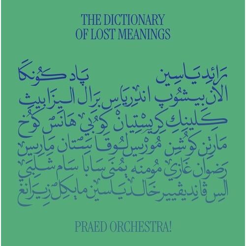 The Dictionary Of Lost Meanings - Vinyl LP