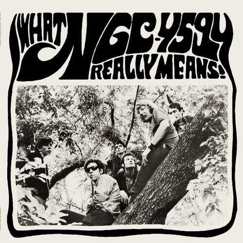 What NGC-4594 Really Means! - Vinyl LP