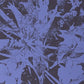 Forest Dwellers - Vinyl LP