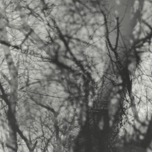 Way Their Crept - Vinyl LP