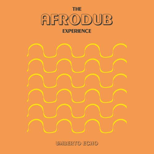 The Afrodub Experience - Vinyl LP
