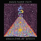 Fuzz's Fourth Dream - Vinyl LP