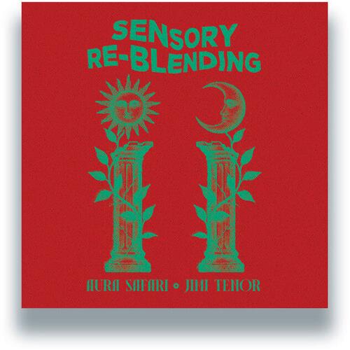 Sensory Re-Blending - 12-Inch Single