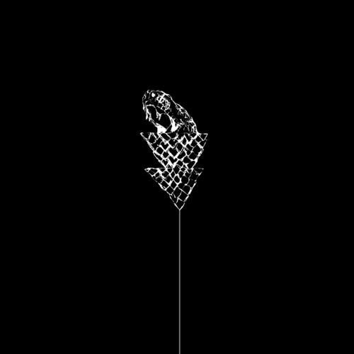 Flail - Vinyl LP