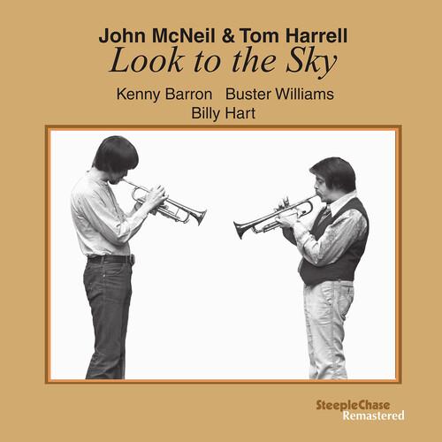 Look To The Sky - Vinyl LP