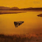 Vinyl LP cover featuring a golden landscape with a floating 3D text logo
