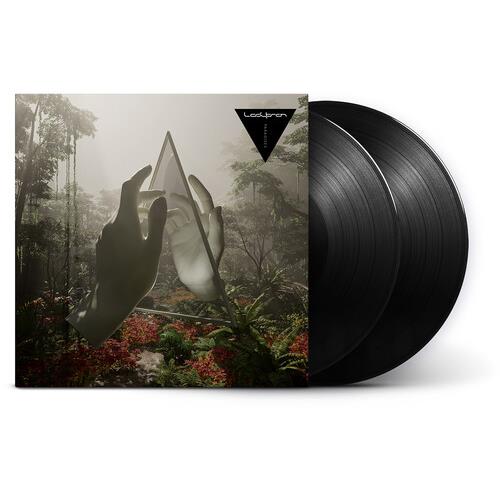 Paradises - Vinyl LP 140 Gram