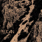 Ascending - Vinyl LP