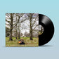 One Glorious Day - Vinyl LP