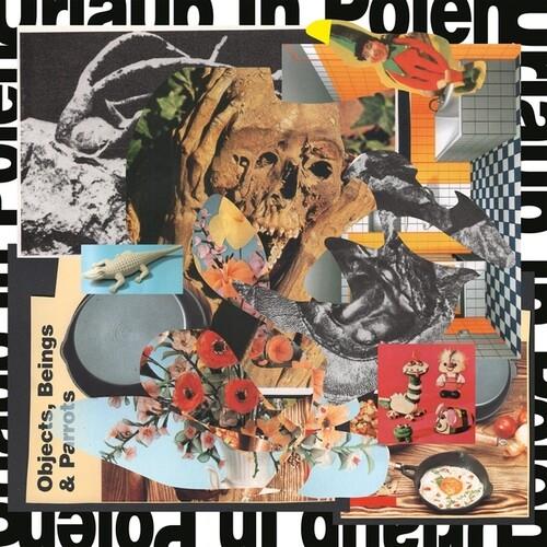 Objects, Beings And Parrots - Vinyl LP