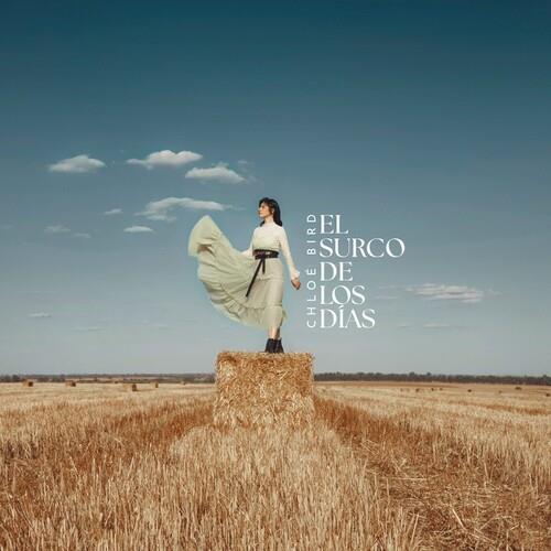 Woman in a flowing dress standing on a hay bale in a harvested field
