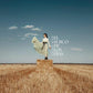 Woman in a flowing dress standing on a hay bale in a harvested field