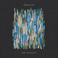 Blame It On The Weather (COKE BOTTLE CLEAR VINYL) - Vinyl LP