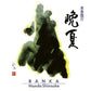 Banka - Vinyl LP