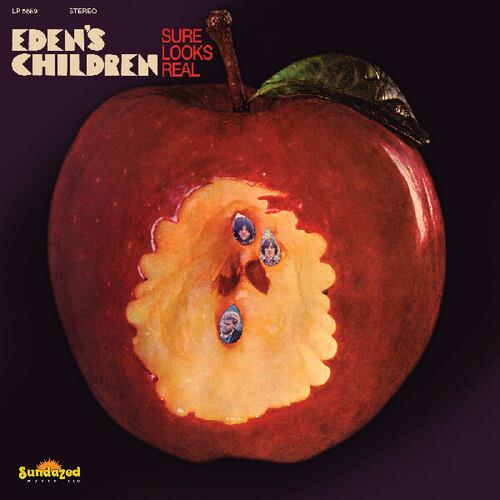 Sure Looks Real - Maroon - Vinyl LP (Maroon)