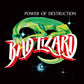 Power Of Destruction - Vinyl LP