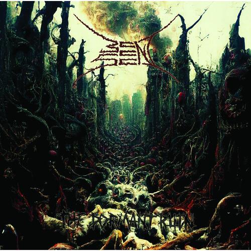 Dormant Ruin - Vinyl LP