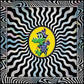Field Of Vision '25 - Vinyl LP