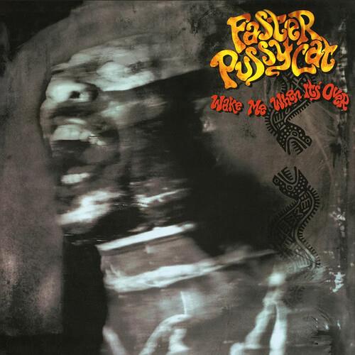 Wake Me When It's Over - 180-Gram Black Vinyl - Vinyl LP 180 Gram (Black)