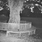 A New Place 2 Drown (Instrumentals) - Vinyl LP