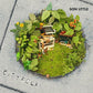 Cityfolk - Vinyl LP