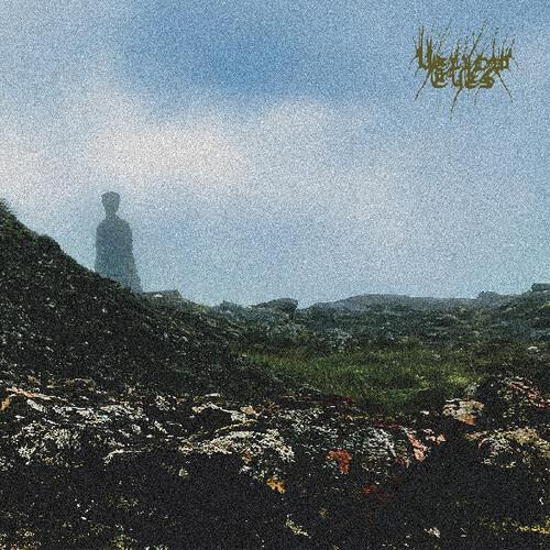 Confusion Gate - Vinyl LP